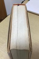親日文学論