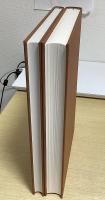 インド美術史大観　本文篇・写真篇　2冊揃