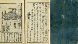 金魚養玩草