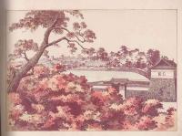 Pictures of the 36 Gates the Shogun's Castle in Yedo