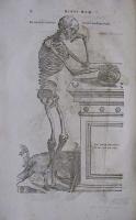 Anatomische Erklarung der Original - Figuren von Andreas Vesal