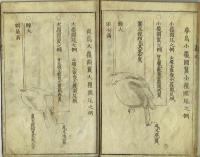 花鳥画式