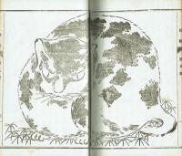 魯文珍報