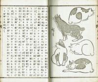 魯文珍報