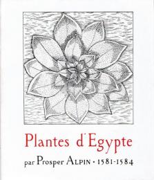Plantes d'Égypte