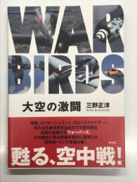 大空の激闘 WAR BIRDS
