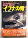 イワナの顔: ネイティブを求め 日本全国58河川岩魚92態 探査釣行