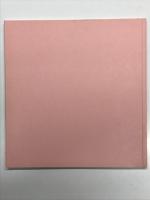 洋書　Bettina Rheims: Les Espionnes　ベッティナ・ランス写真集