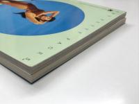 洋書　The Betty Pages Annual / The Betty Pages Annual Book 2　魅惑のピンナップガール ベティ・ペイジのすべて　2冊セット