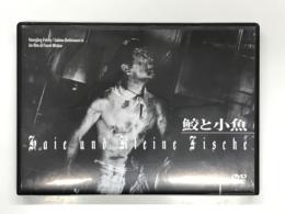 DVD　鮫と小魚