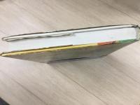 ぎょろ目のジェラルド