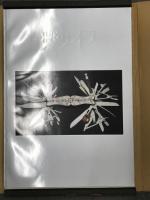 The Knife　ザ・ナイフ