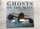 洋書　Ghosts of the Skies: Aviation in the Second World War　空の亡霊: 現存する第二次世界大戦の戦闘機たち