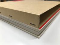 TOYOTA 2000GT/SPORTS 800 トヨタの2台のスポーツ・カー