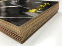 日本カメラ臨時増刊 美しいヌード / グラマーとヌード / チャームフォト / 新しき魅惑 / 新作ヌードフォト　5冊セット