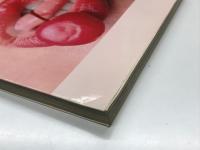 大竹省二写真集 janet ジャネット