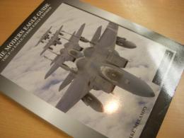 洋書　The Modern Eagle Guide: The F-15 Eagle/Strike Eagle Exposed