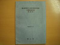 北陸新幹線飯田駅周辺整備計画調査報告書/飯山駅周辺土地区画整理事業 B調査報告書(概要版)　2冊セット
