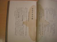 最近の飛行船
