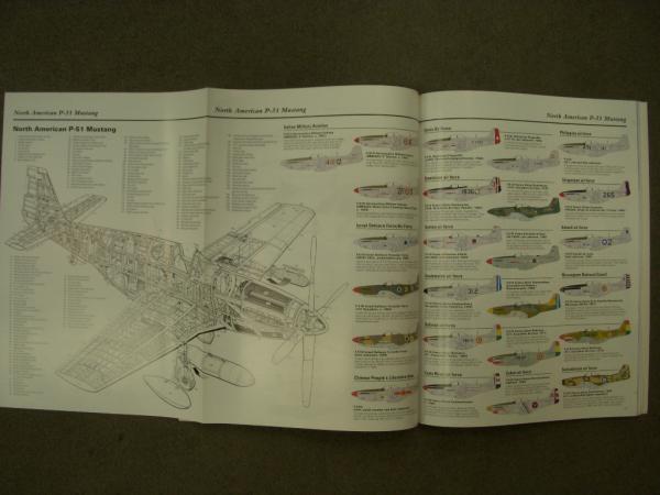 洋書 WINGS OF FAME Volume 7 Stella & Rose's Books