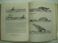 洋書 A HISTORY OF SEAMANSHIP : The Complete Magnificently Illustrated Exploration of the Art and Science of Sailing