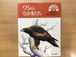 ＜みる野鳥記 20＞ ワシのなかまたち