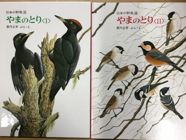 やまのとり 2冊セット 日本の野鳥3 4 薮内正幸 ぶん え 菅村書店 古本 中古本 古書籍の通販は 日本の古本屋 日本の古本屋