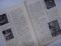 NSK ベアリングができるまで 日本精工株式会社