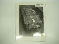 洋書 German Remote-Control Tank Units 1943-1945