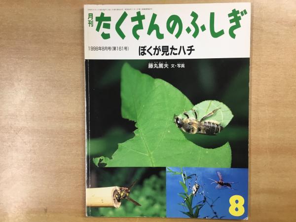 たくさんのふしぎ 1998年8月号 第161号 ぼくが見たハチ(藤丸篤夫・文
