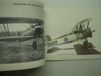 洋書　FLYING THE P-12