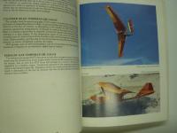 洋書　The Ultralight Aviator's Handbook: Over 60 Ultralight Aircraft Described!