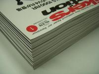 バイカーズステーション: 2019年1月号から12月号まで　12冊セット