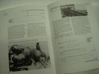 洋書　Komandosi Glebin: Miniaturowe Okrety Podwodne I Zywe Torpedy W Akcji 