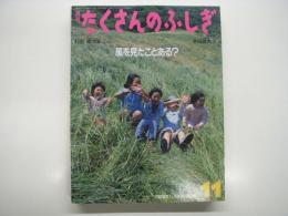 風を見たことある?