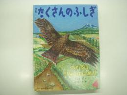 わが家は、野生動物診療所