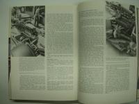 洋書　Famous Racing Cars: Fifty of the Greatest, from Panhard to Williams-Honda