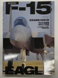 F-15 Eagle