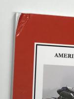 洋書　America's Local Service Airlines