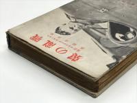 戦乱の翼