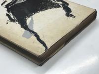 なき友に捧ぐ 陸軍少年飛行兵の訓練と戦闘の記録