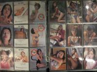 GENICA MEGUMI・小野愛・かわい綾・松岡由樹 トレカ68種セット　レギュラー45種＋SP9種＋シークレット9種＋プロモ他5種