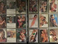 GENICA MEGUMI・小野愛・かわい綾・松岡由樹 トレカ68種セット　レギュラー45種＋SP9種＋シークレット9種＋プロモ他5種