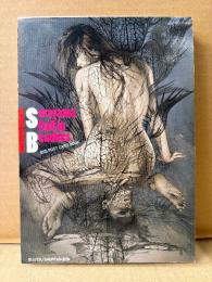 美品　空山基 ポストカードブック 「Sorayama Call in Beauties BSS POST CARD BOOK」初版　全32枚揃い