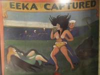 フリーク FREAK SHOW SIDESHOW BANNER ART　HAMMER BOSKER CHRONICLE BOOKS　洋書