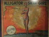 フリーク FREAK SHOW SIDESHOW BANNER ART　HAMMER BOSKER CHRONICLE BOOKS　洋書