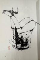 山口椿 「サドの館 山口椿絵画館2」　初版 帯付き　縛り絵170点掲載　河出文庫