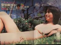 安田美沙子 雑誌切り抜き90ページ＋ピンナップ5種＋ポスター1種＋小冊子1種セット ビキニ グラビア