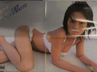 安田美沙子 雑誌切り抜き90ページ＋ピンナップ5種＋ポスター1種＋小冊子1種セット ビキニ グラビア