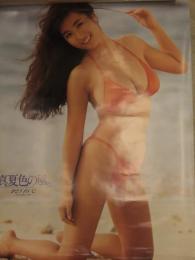 かとうれいこ 「真夏色の風。」 B1サイズ ビキニポスター Clarion 巨乳 1990年クラリオンガール